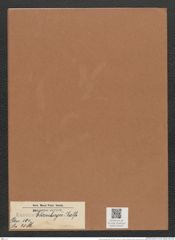 Eunotia ehrenbergii Ralfs. (de-Toni-Nr.: Genus 104, Species 3186) Zeichnungen Sammlung Grunow Mappe 03426 (Herbarium_W_Grunow_drawings_Folder_03426)
